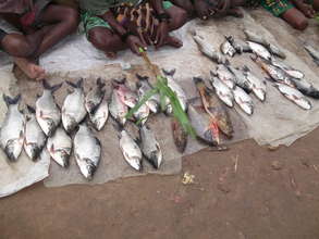 The river is the main source of food