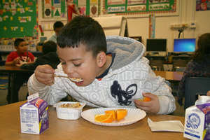 Young Boy Eating Healthy School Breakfast