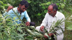 Measuring impact of sustainable farming methods