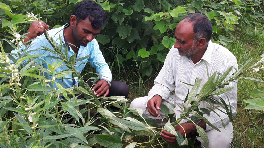 Support Humana People to People India