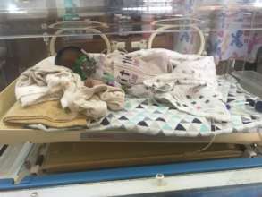 Incubator baby