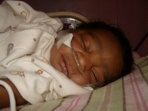 Lucner in our Nursery 3