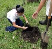 Planting with students from St Louis