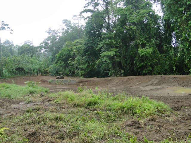 Educational Reforestation, La Fortuna, Costa Rica