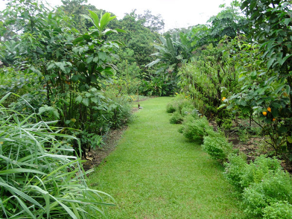 Educational Reforestation, La Fortuna, Costa Rica
