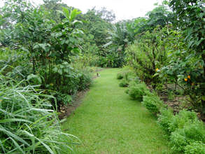 Garden-Walk