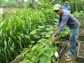 SAT student attending to the school garden
