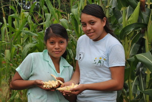 SAT students learn about agriculture hands-on