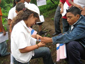 SAT students in the field