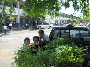 Plant trees for a greener future!