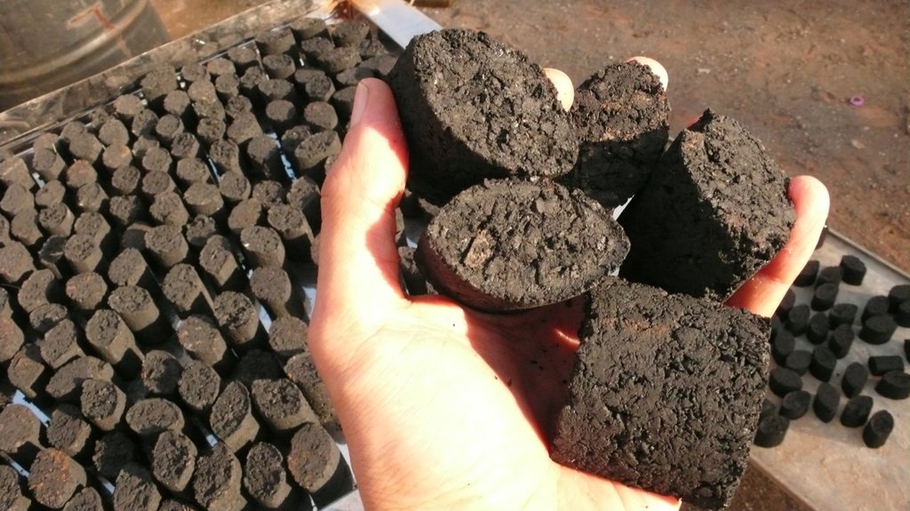 Plant 10,000 Trees in Nicaragua
