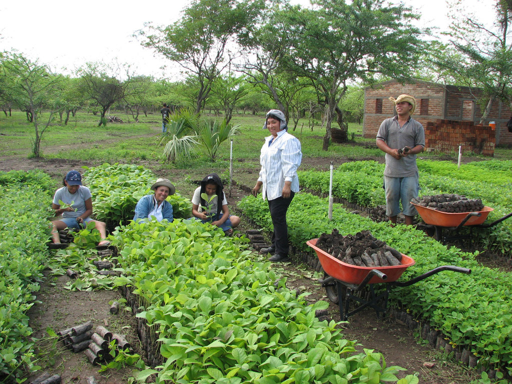 Plant 10,000 Trees in Nicaragua