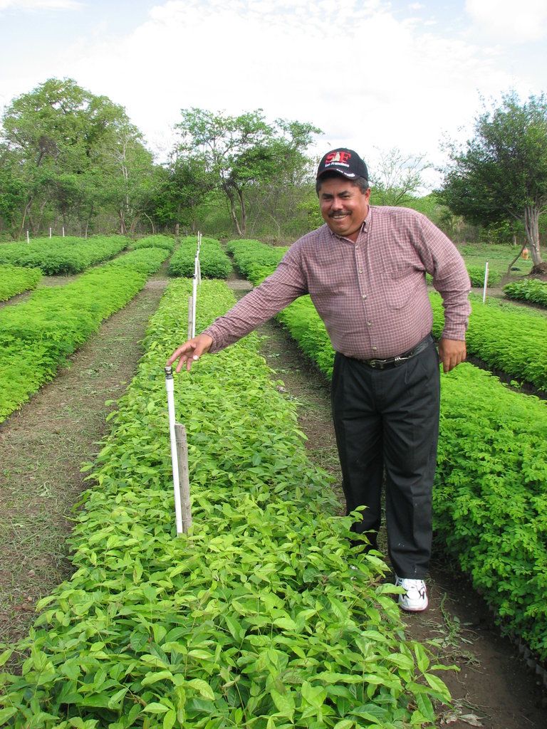 Plant 10,000 Trees in Nicaragua