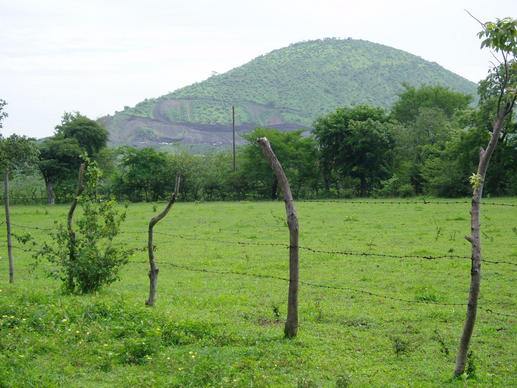 Plant 10,000 Trees in Nicaragua
