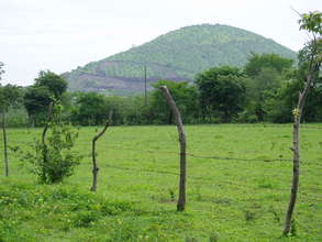 Deforested hillside in Nicaragua