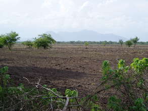 Dry farm field in need of biodiversity