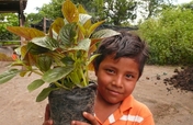 Plant 10,000 Trees in Nicaragua