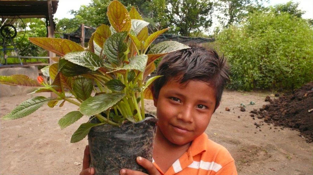 Plant 10,000 Trees in Nicaragua