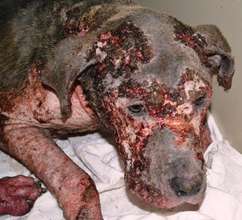 See Bluebell's amazing transformation in our video