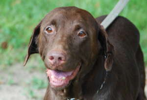 Suzy as she looks now