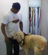HSWC reunited this dog and owner post-evacuation.