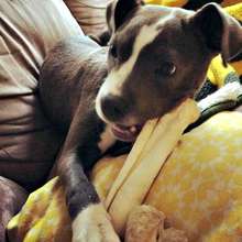 Fergus spent five days with a broken femur