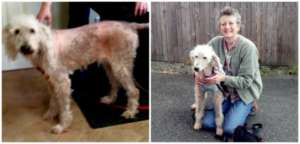 Kira before treatment (left) and with her new mom
