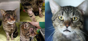 Mike B. had severe bite wounds all over his face