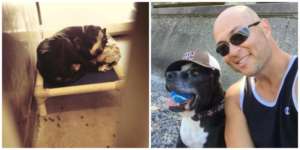 Otis at the shelter (left) and with his human dad