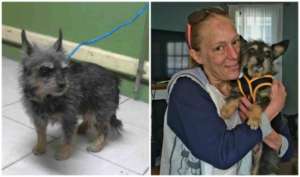 Stormy at the shelter (left) and with her adopter