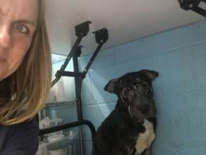 A new intake at Zeus' Rescue in New Orleans