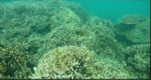 The Talim bay awaits the  roving census