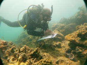 During  Talim bay  Reef Checking