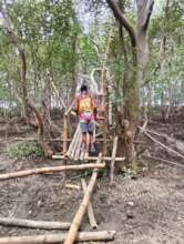 Repair of the Mangrove Boardwalk