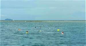 Snorkel-Reef Appreciation