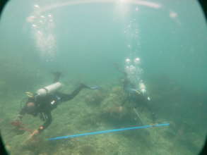Team Members Monitor the  reef