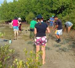 Tree Planting in Lumaniag, Lian, Batangas