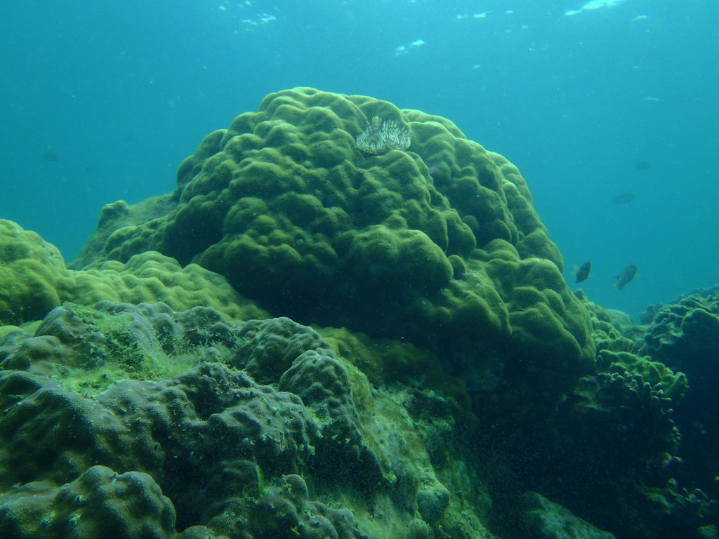 Talim Bay Coastal Resources Management Project