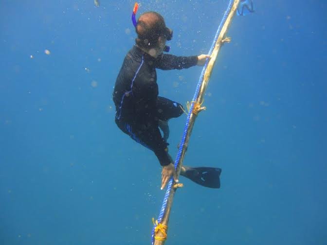 Talim Bay Coastal Resources Management Project