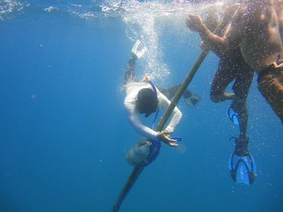 Talim Bay Coastal Resources Management Project