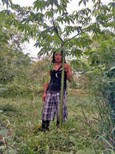 Jimmy, Field director of LRFF