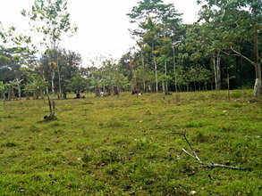 Ever's property
