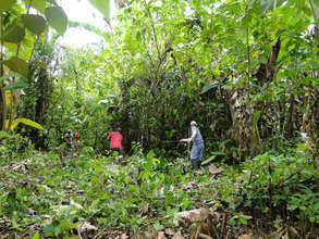 Preparing land to plant other side of Rio Sol 2011