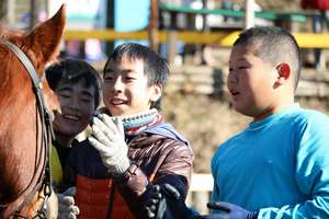 taking care of a horse with friends