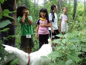 go for a walk with a goat