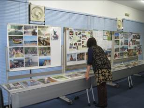 Display of the photographs and the articles