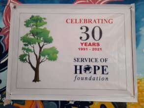 Tree Plantation drive
