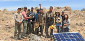 Golden Eagle nest team