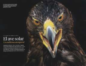 Reports From Fondo Mexicano Para La Conservacion De La