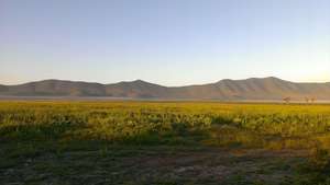 The Golden Eagle's vast hunting ground